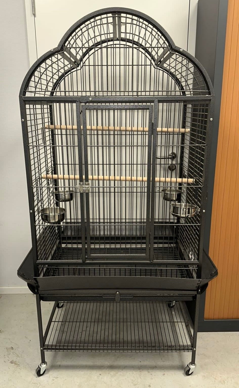 MAGGIE CAGE