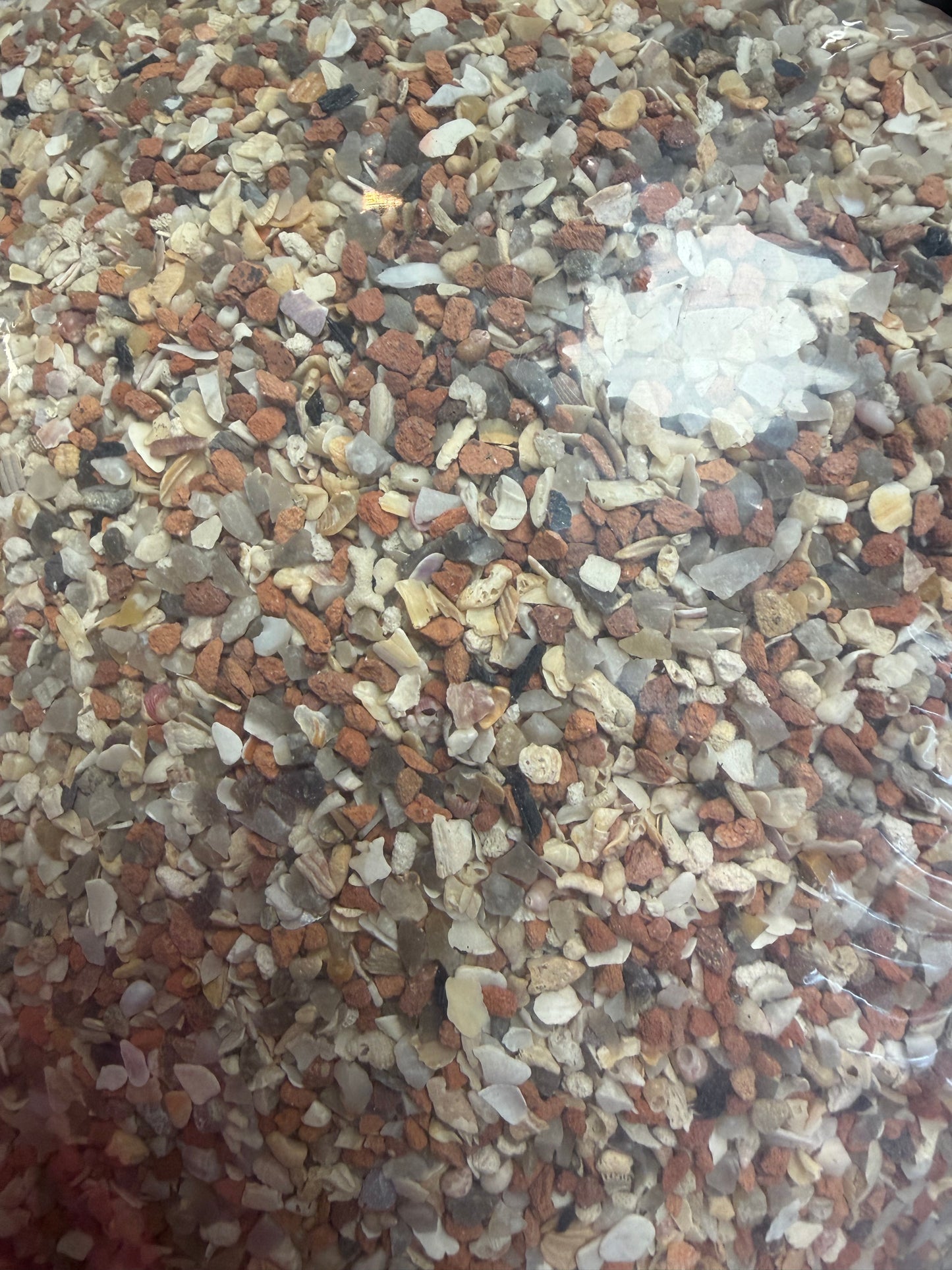 Fine Oyster & Coral Grit 1kg