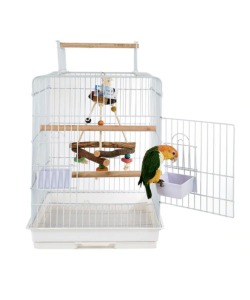 Small / medium parrot cage