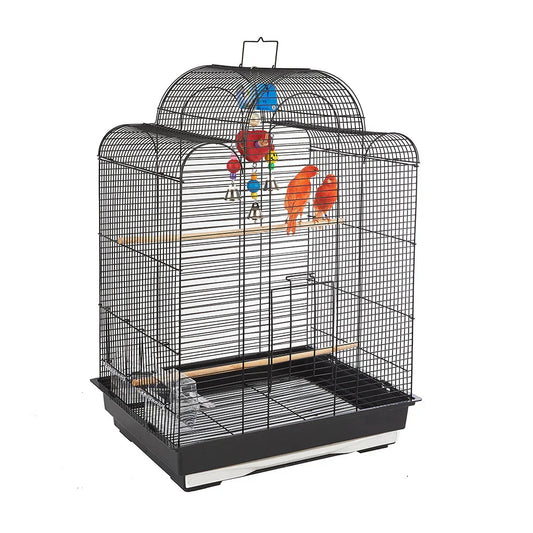 Petz Zone Budgie Complete Take-Me-Home Package