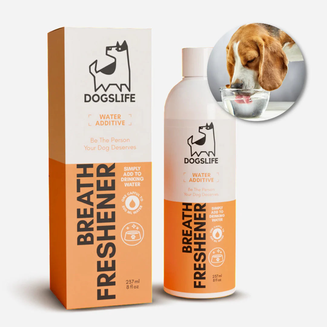 Dental Water Additive