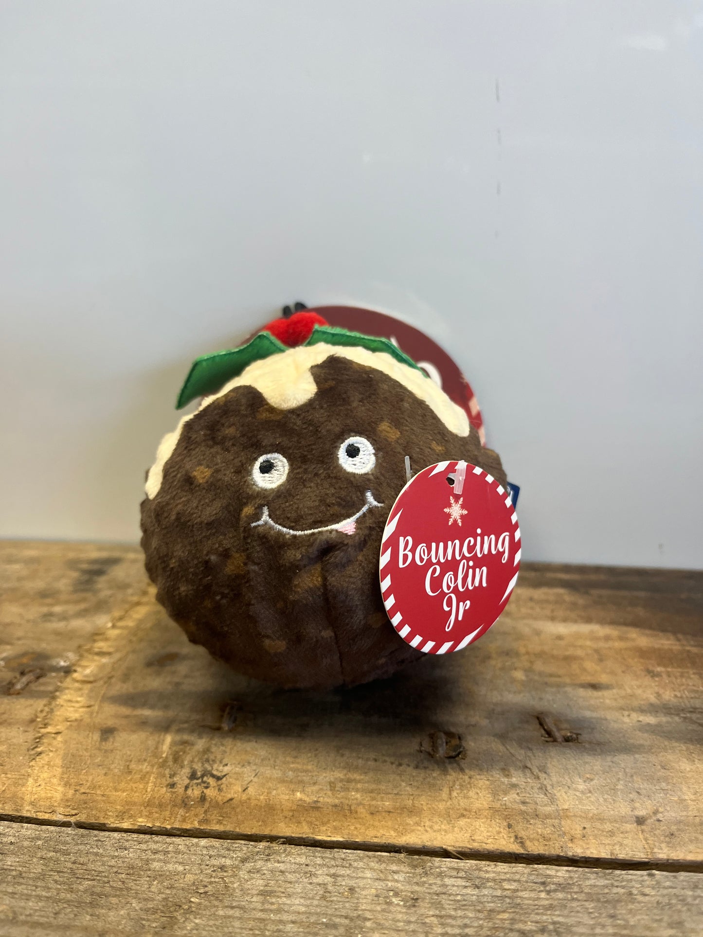 ANCOL HOLIDAY BOUNCING COLIN JNR