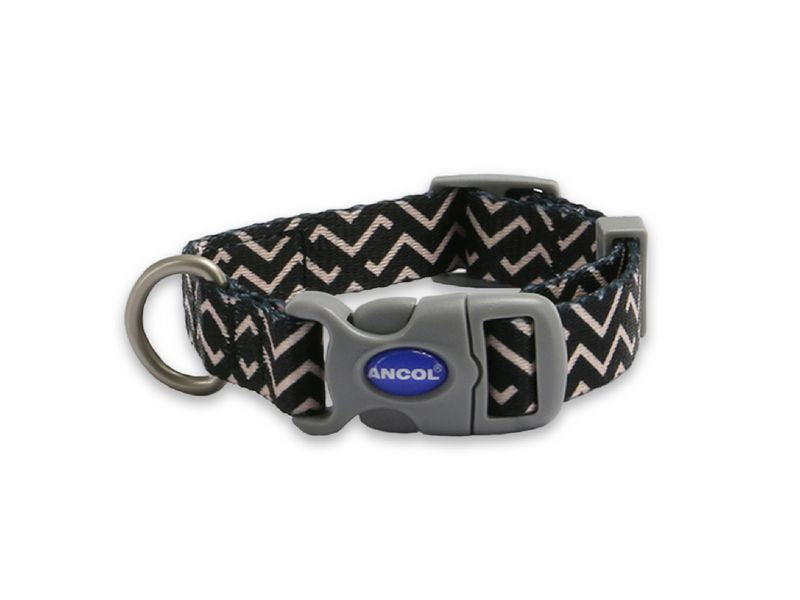 Ancol soho pet collar ZigZag