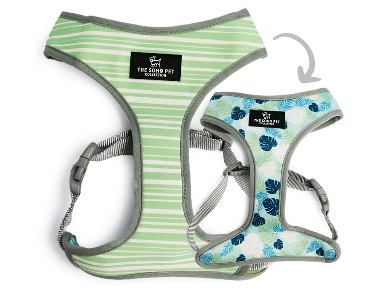 SOHO REVERSIBLE HARNESS STRIPES/LEAFS