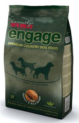 Engage salmon & rice