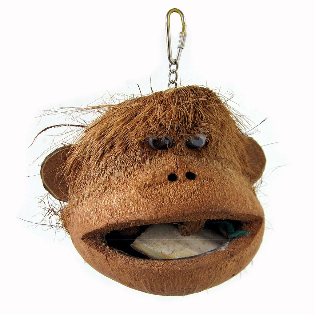 Monkey Head Foraging Toy