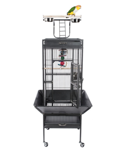 Play top small parrot cage