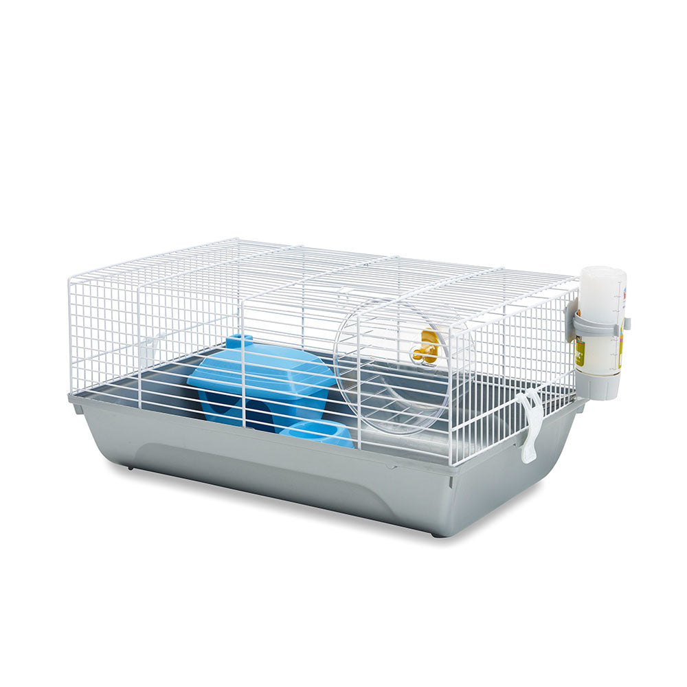 Dwarf hamsters + Set-up