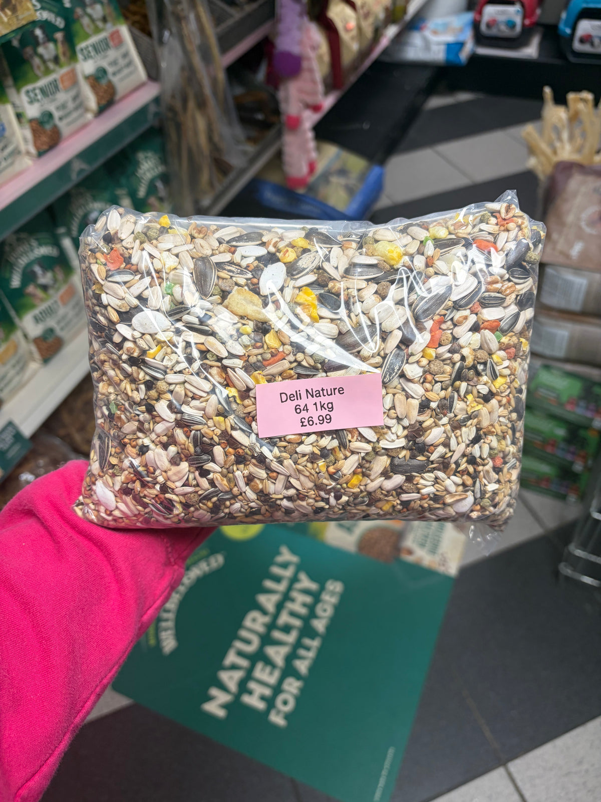 Hand-reared Conure Take Me Home Essential Bundle