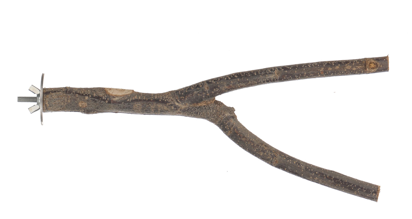 Apple Tree Y Perch Large