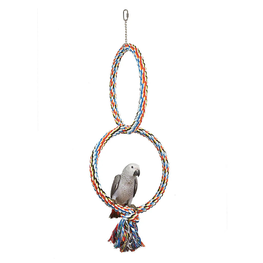 Coloured Double Ring for Parrots