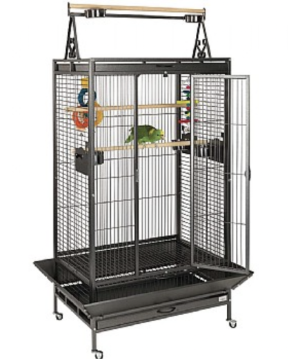 Gym top parrot cage