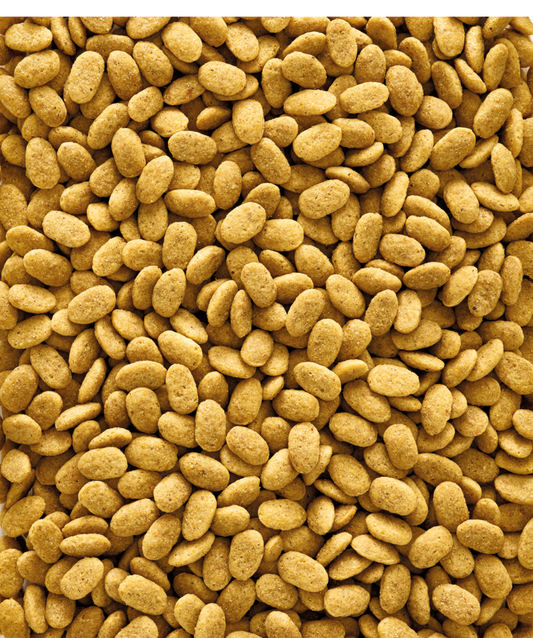 P15 ORIGINAL pellets