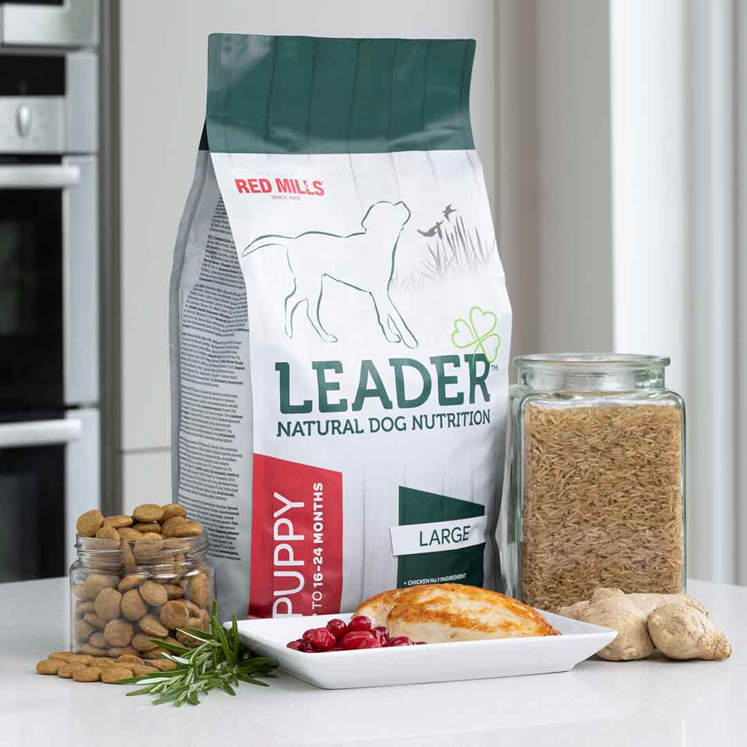 Red-mills Leader Puppy Large Breed Dog Food