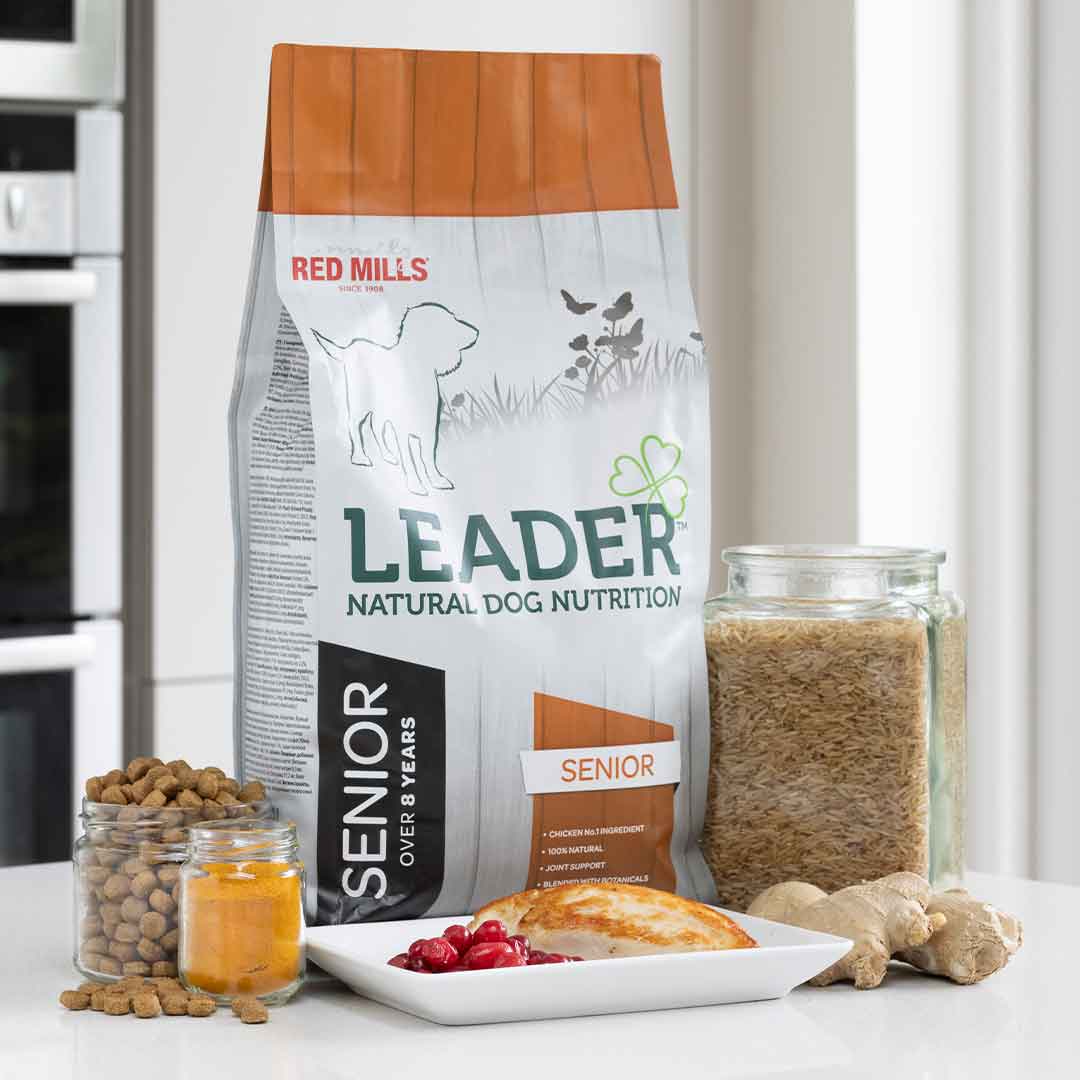 Red-Mills Leader Senior Medium Dog Food