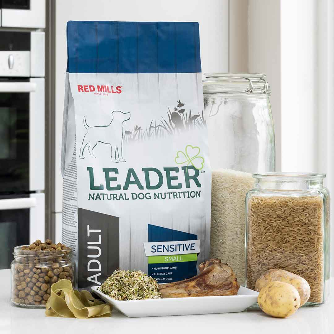 Red-mills Leader Sensitive Lamb Dog Food