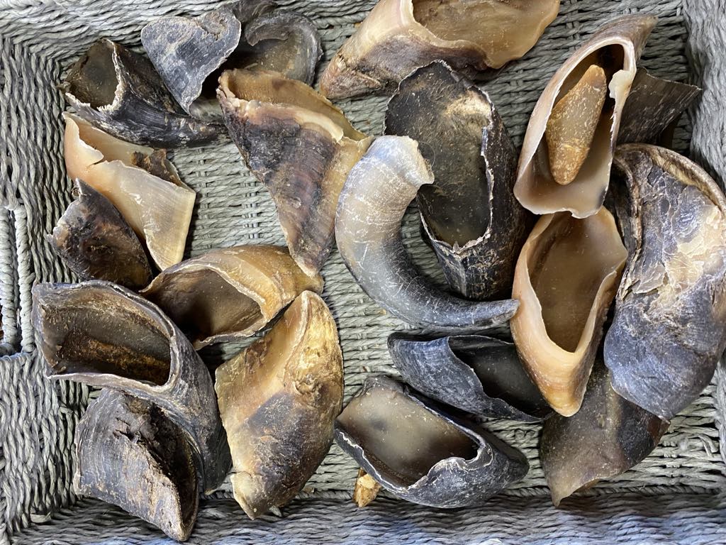 Cow hooves