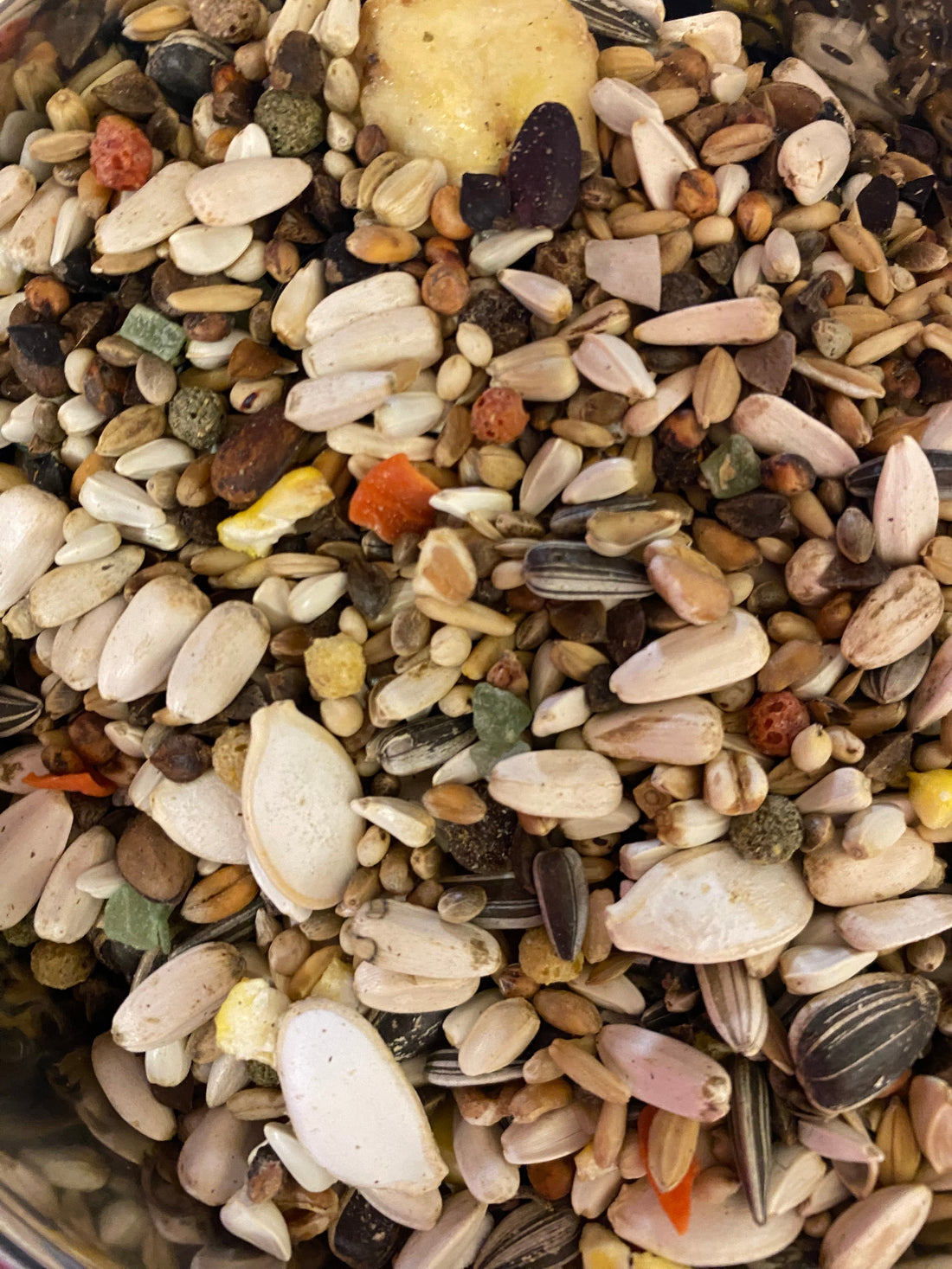 Deli-Nature 64- why you should be feeding this to your parrot.