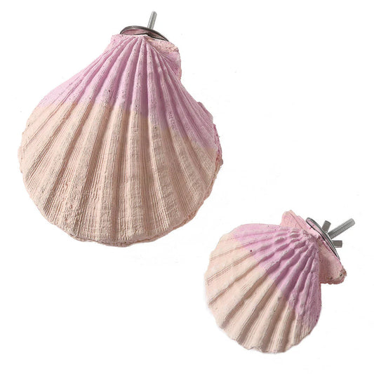 Edible Calcium Clam Small