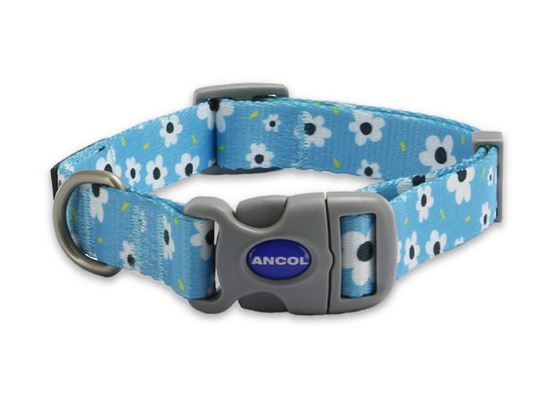 Ancol soho pet collar Daisy