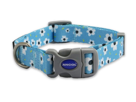 Ancol soho pet collar Daisy