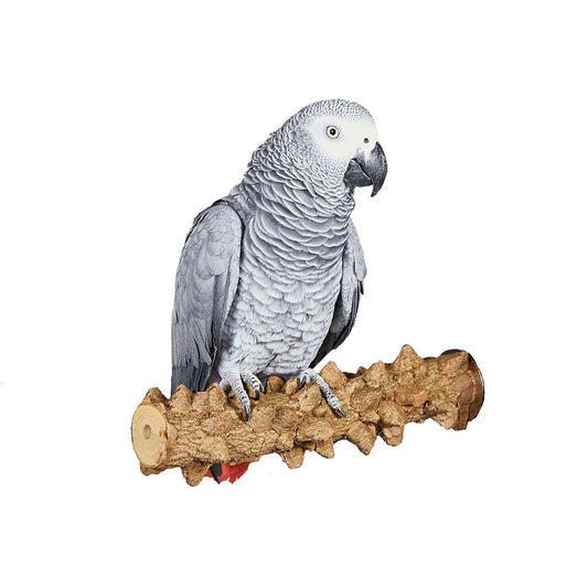 Pepper Branch