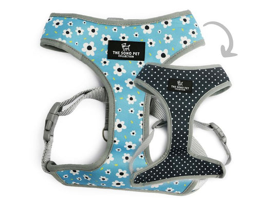 SOHO REVERSIBLE HARNESS DAISY/POLKA