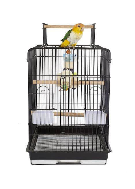 Petz Zone Cockatiel Complete Take-Me-Home Package