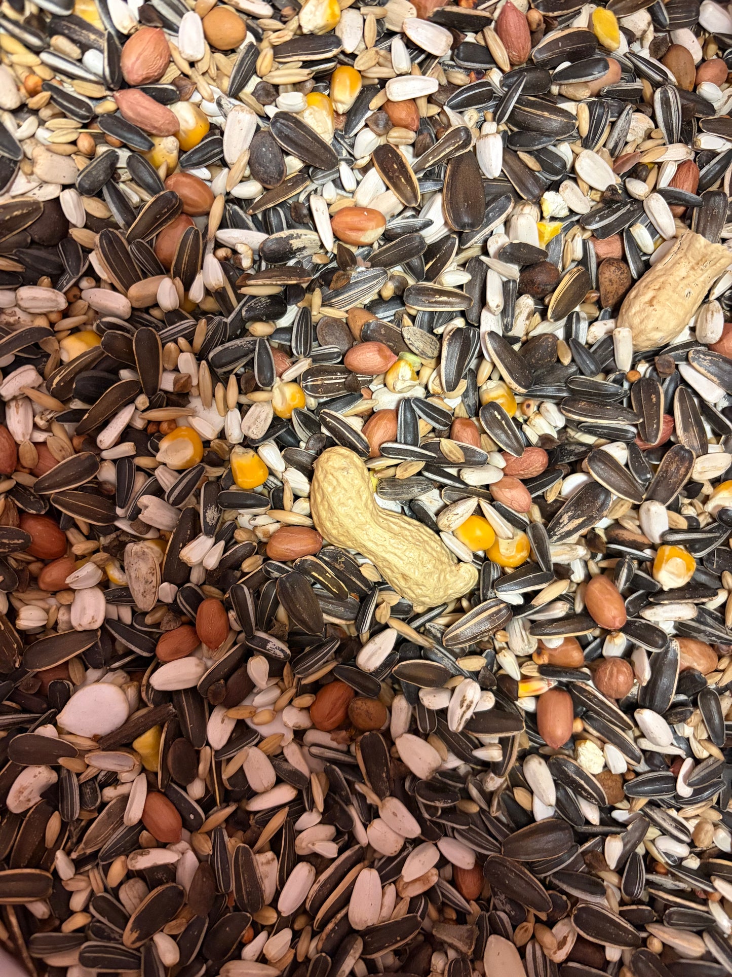 Prestige Parrot 1kg