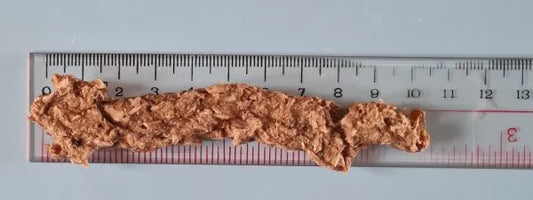 QUAY DOGS SNACK BARS