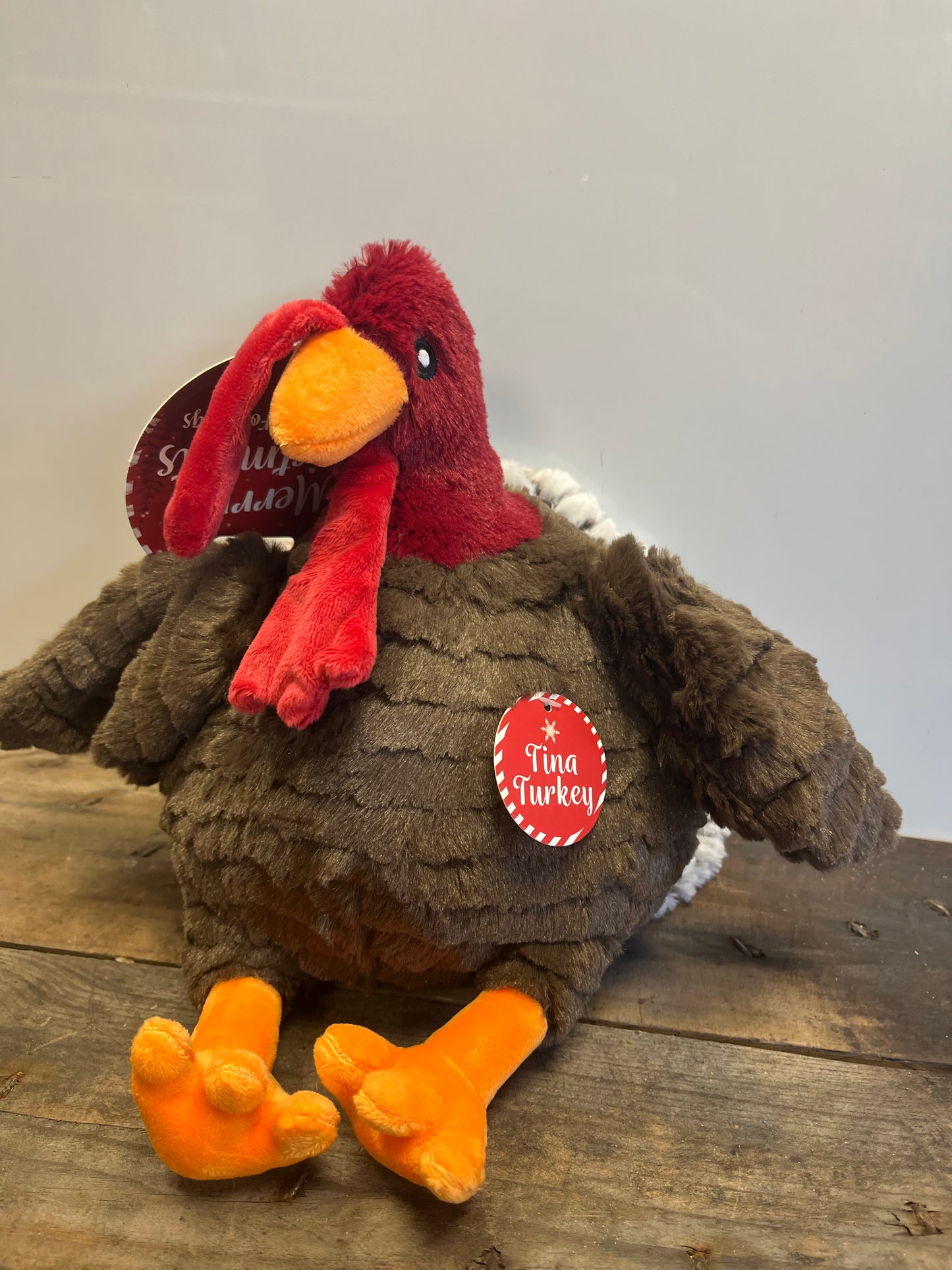 ANCOL HOLIDAY TINA TURKEY