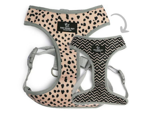 SOHO REVERSIBLE HARNESS DALM/ZIGZAG