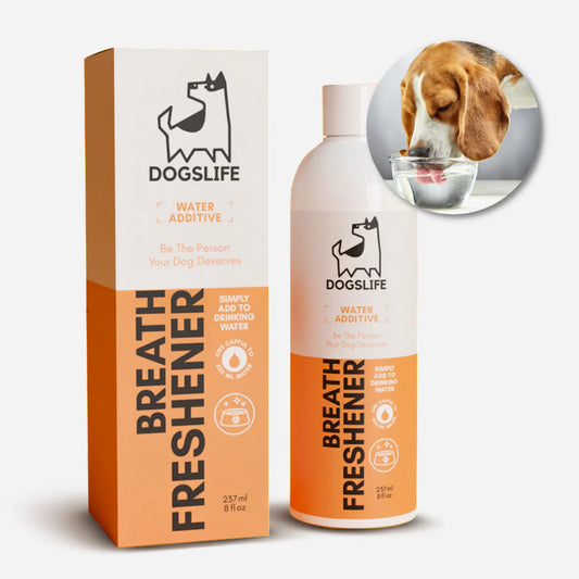 Dental Water Additive