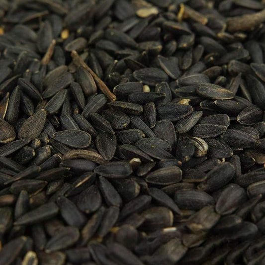 Black Oil Sunflower Seeds 1kg