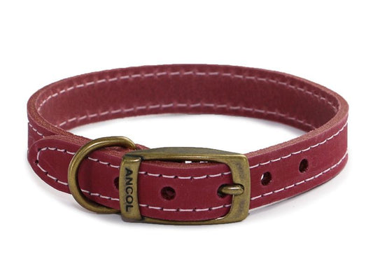 Timberwolf Luxury Leather Collar Size 6