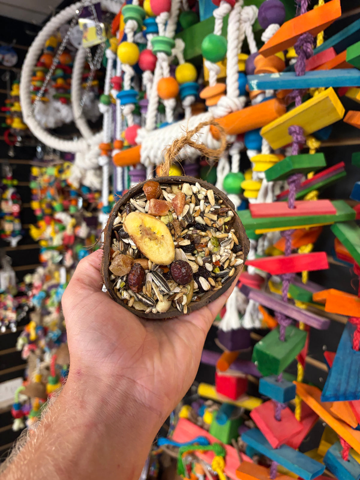 Fruit & Nut Filled Coconuts