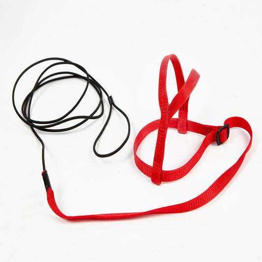 Avian Adventure Harness Red