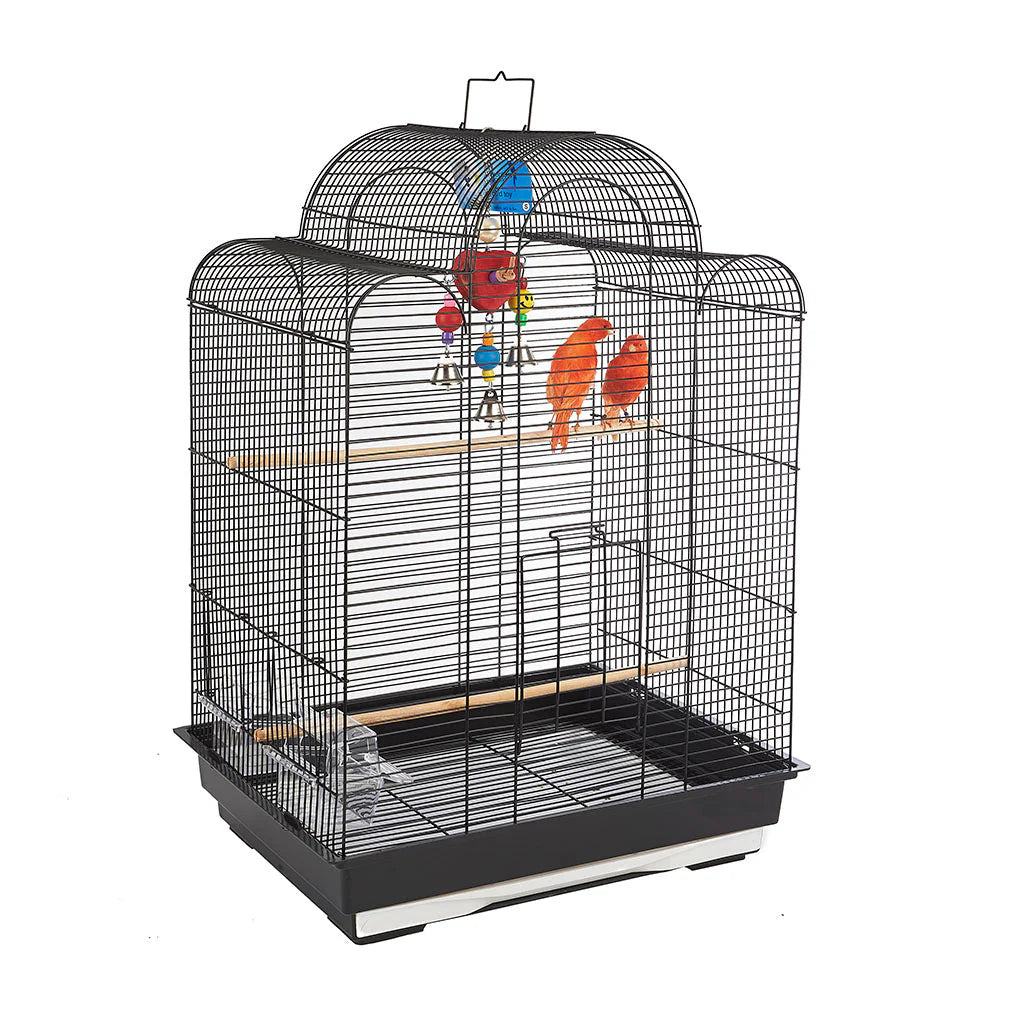 San Luis Black Cage