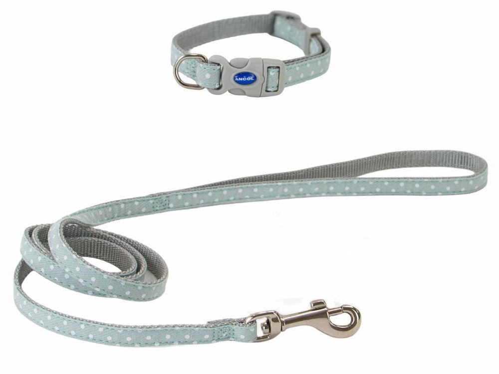 SMALL BITE POLKA COLLAR & LEAD SET