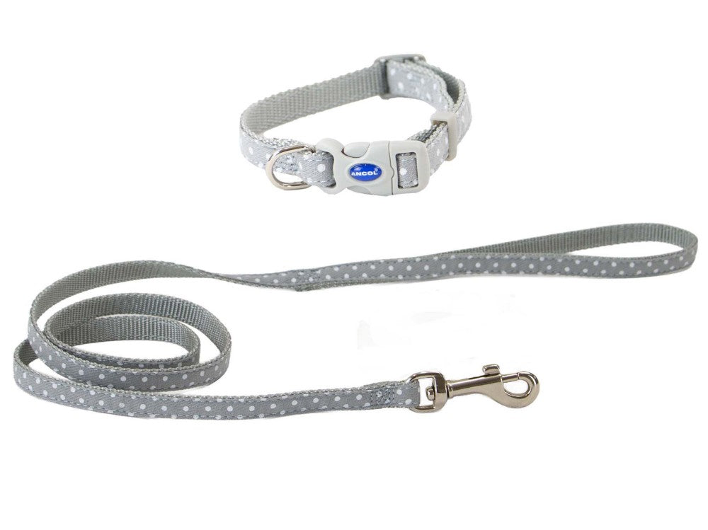 SMALL BITE POLKA COLLAR & LEAD SET