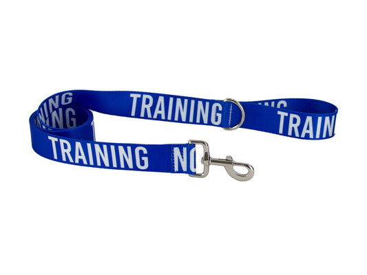 40MM AWARENESS LEAD BLUE - TRAINING