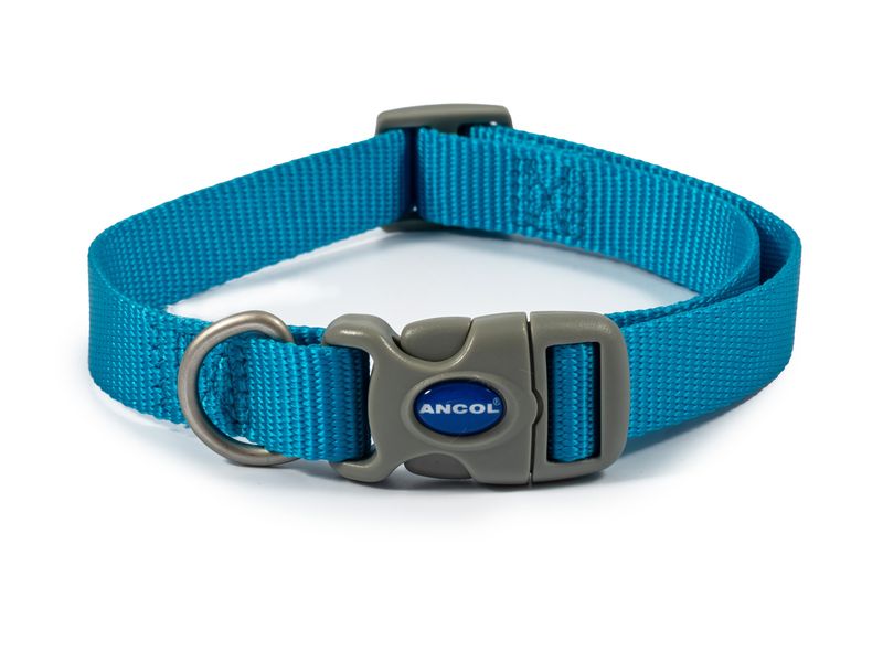 Ancol viva Quick fit collar blue
