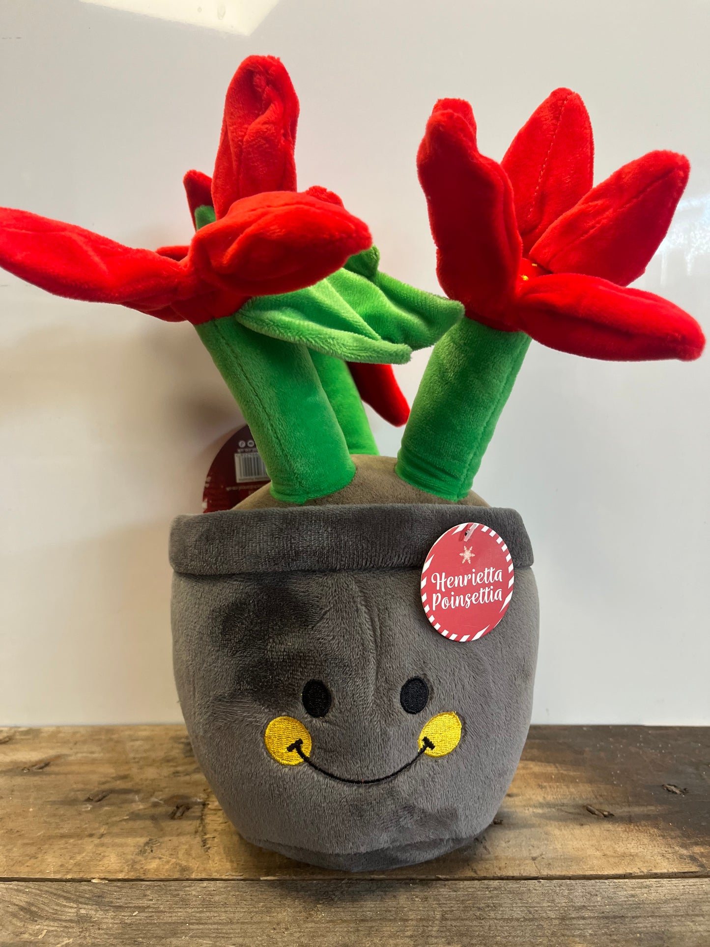 ANCOL HOLIDAY HENRIETTA POINSETTIA