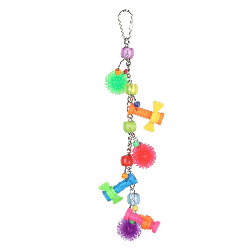 Petz Zone Cockatiel Complete Take-Me-Home Package