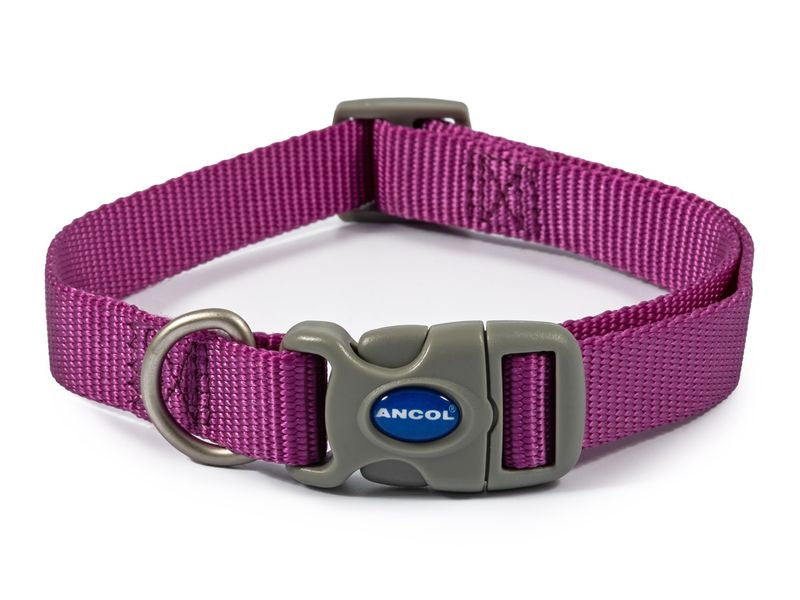 Ancol viva Quick fit collar purple