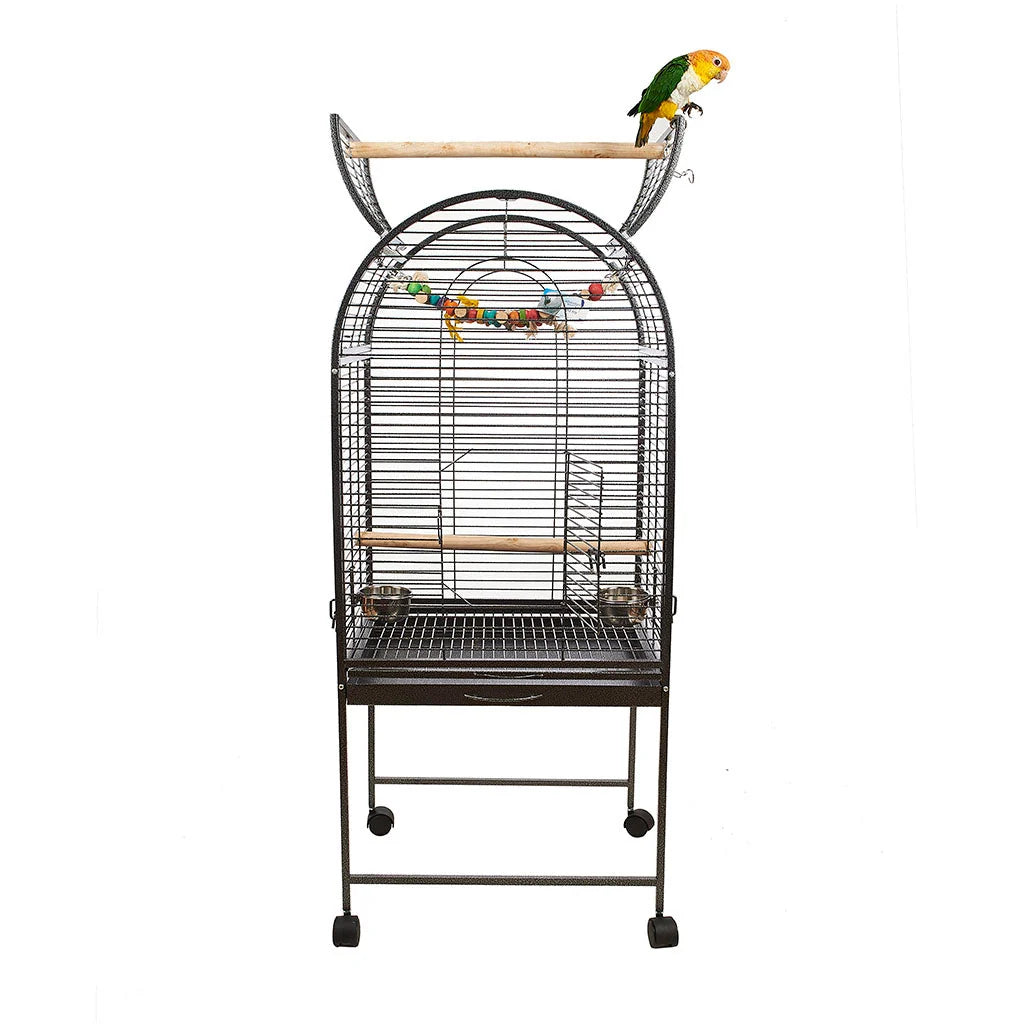 Stamford 1 Cage